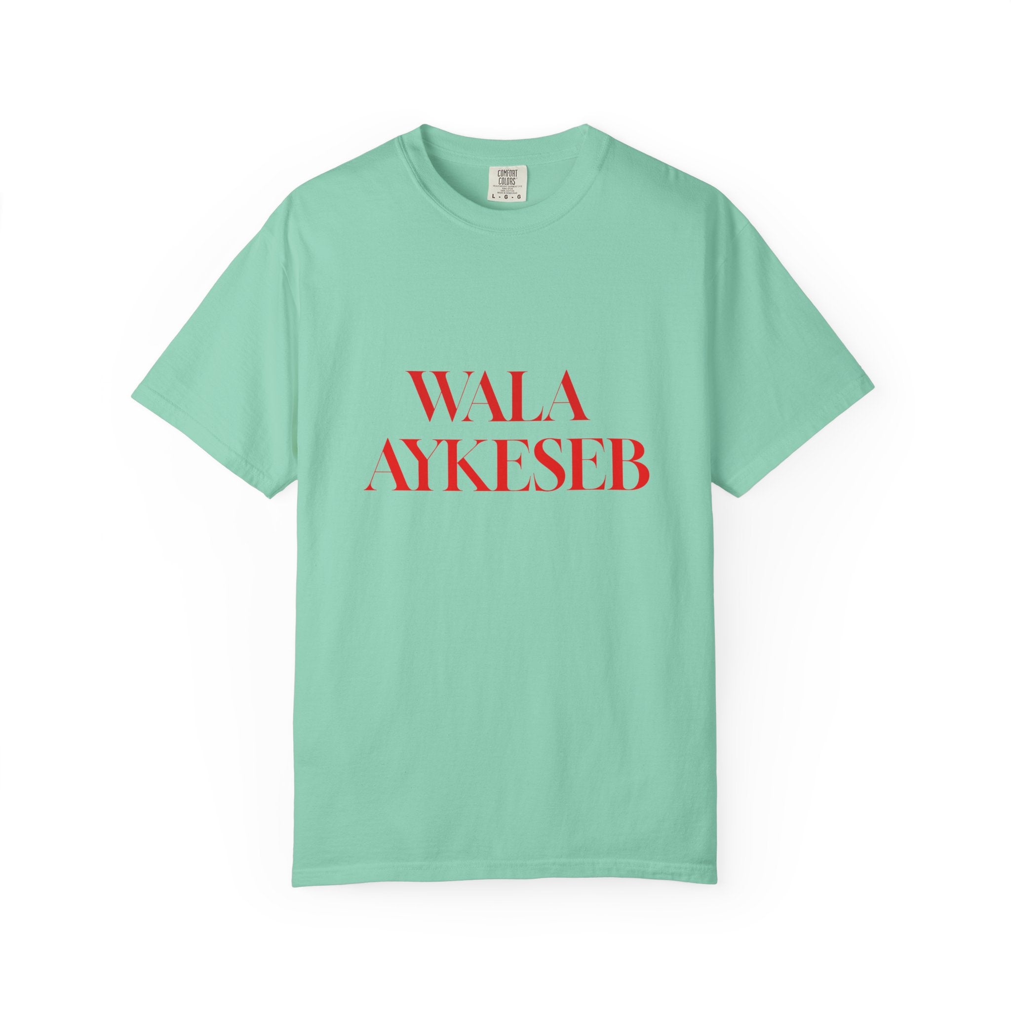 T-Shirt — Minimal Red Text Graphic Tee ('WALA AYKESEB')